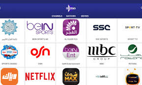 Aloka TV APK 