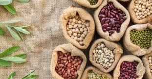 Seed Storage and Shelf Life